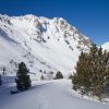 Traces de raquettes  neige