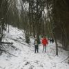 Ardenne 
