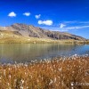 Lac de Palluel
