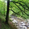 Les arbres sont bien verts en cette fin septembre