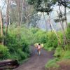 Randonne en Indonsie sur le volcan Kawah Ijen