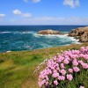 De belles couleurs sur le GR 34 en Bretagne
