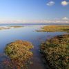 Bassin d'Arcachon au niveau d'Andernos