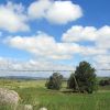Le Plateau de l'Aubrac, prs de Nasbinals