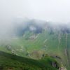 Darbon