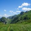 Entre bleu et vert