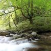 Cours d'eau au dbut du sentier d'Holzarte