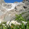 Le Glacier Blanc, Massif des Ecrins, au dpart du pr de mme Carle