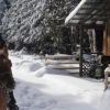 Randonne questre dans la neige au Qubec