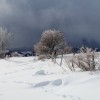 Paysage d'Aubrac sous la neige