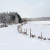 Balade dans la neige en Aveyron - 1