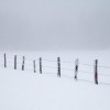 Neige et brouillard en Aveyron