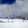 Balade dans la neige en Aveyron - 3
