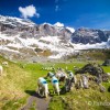 Les moutons de Troumouse
