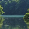 Lac de Castet un matin de printemps