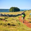 Randonneurs sur le GR 65