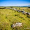 Plateau de l'Aubrac sur le GR 65