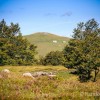 Vue sur le Puy de Gudette