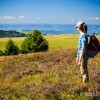 De belles couleurs sur l'Aubrac