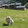Vall d'Incles (Andorre)