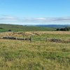Paysage d'Aubrac