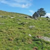 Buron prs du Puy de Gudette