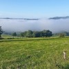Dbut de la randonne sur Aubrac
