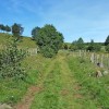 Chemin longeant les prs