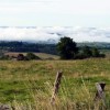 Vue vers Condom d'Aubrac le matin