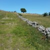 Chemin GR6 longeant les prs