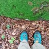 Dj un tapis de feuilles d'automne