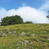 Aux alentours du Puy de Gudette
