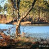Balade entre les lacs