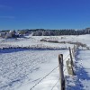 GR65 : Draille qui mne  Aubrac