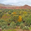 Paysages du Maroc,  1h de Marrakech