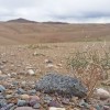 Dans la campagne marocaine