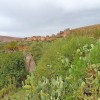Cactus et joli village au Maroc
