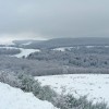 La fort est recouverte de neige
