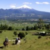 Balade  cheval au Chili