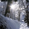 En route vers Miage (74)
