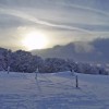 Soleil matinal sur la neige fraiche