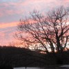 Dbut de coucher de soleil sur le bois