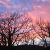Coucher de soleil rose et jaune