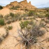 Paysage du dsert des Bardenas en Espagne