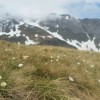 Vers le Col de Tentes bien fleuri