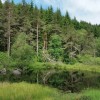 Lac noir dans la fort sur le retour
