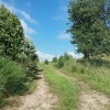 Chemin entre les prs