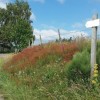 Panneau de balisage de la rando