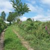 Chemin qui monte aprs Deux Verges