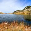 Linaigrettes au lac de Caderolles